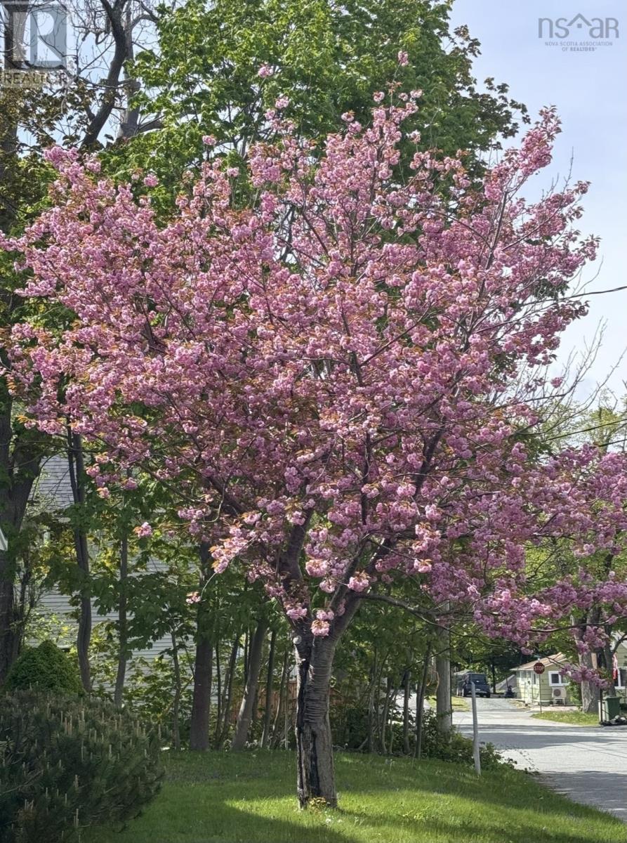 Property 30 of 30 of 20 BOEHNER Street