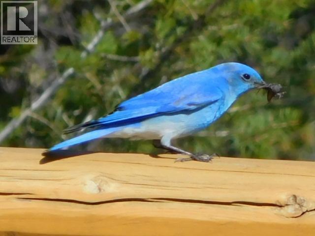 LOT 9 BELLA VISTA BOULEVARD - 23