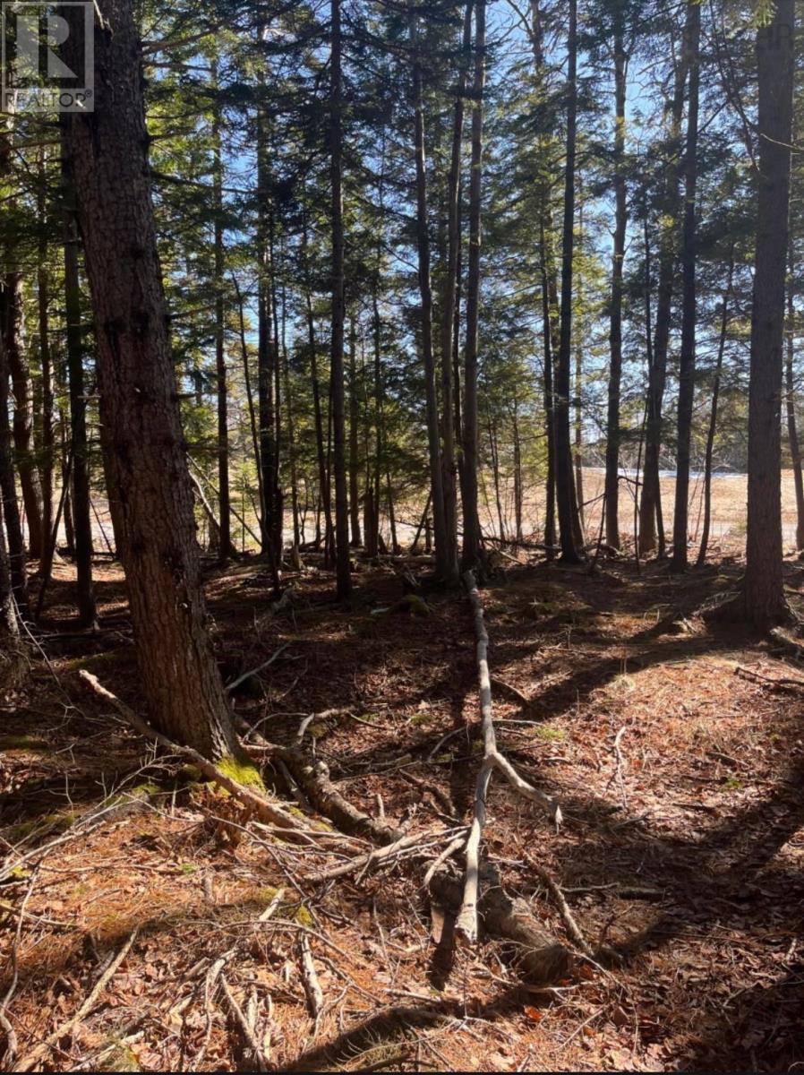 Property 5 of 7 of 18 Acres Highway 256