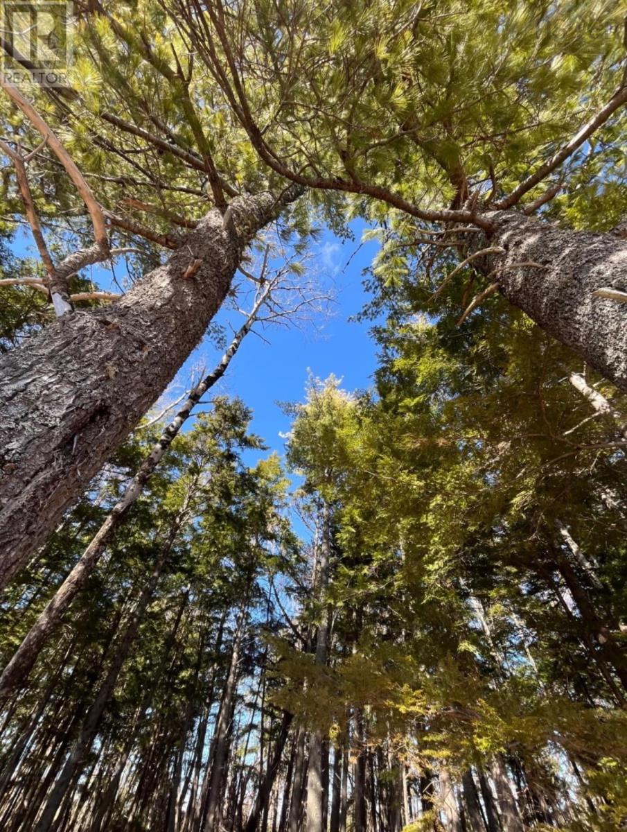 Property 7 of 7 of 18 Acres Highway 256