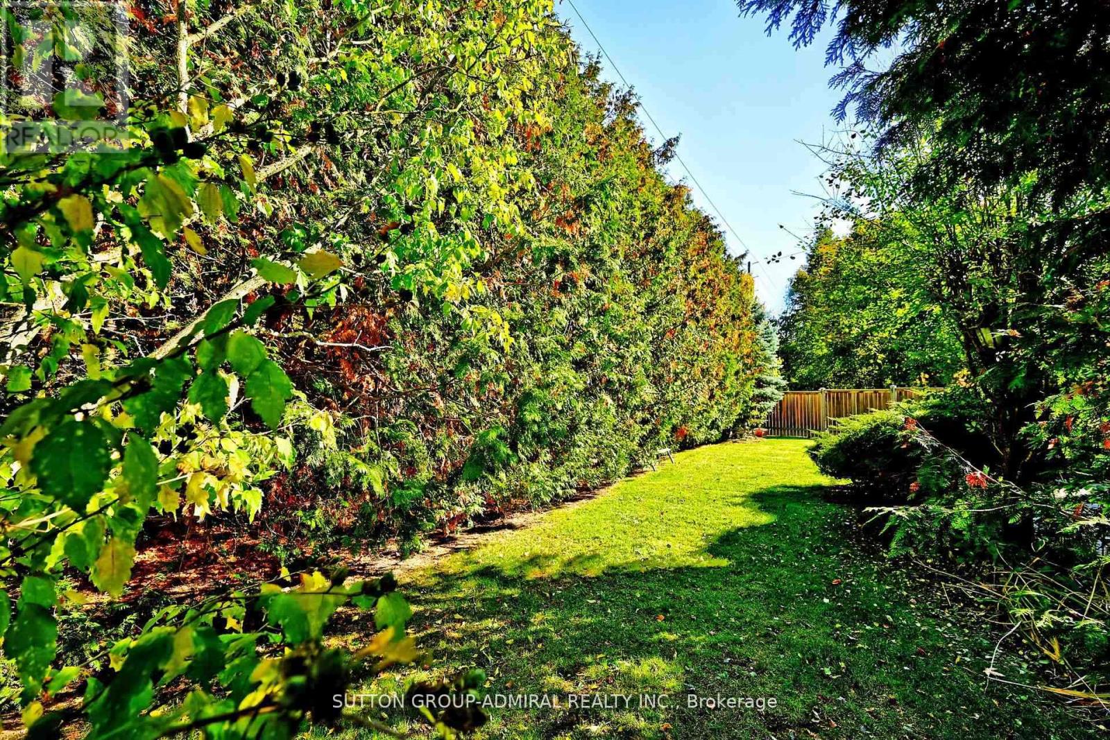 62 APRICOT STREET - 25
