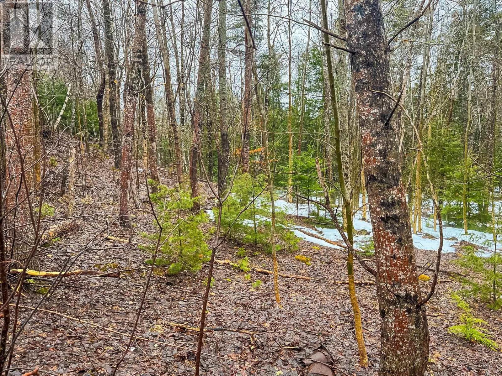 Property 2 of 5 of Lot (PID# 60201043) Highway 10