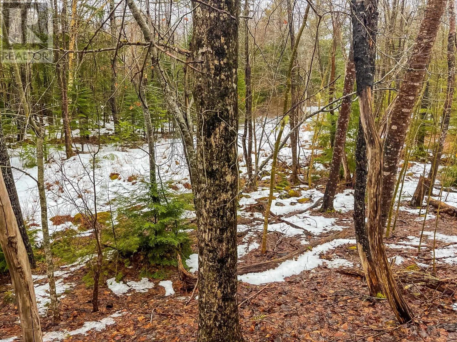 Property 4 of 5 of Lot (PID# 60201043) Highway 10