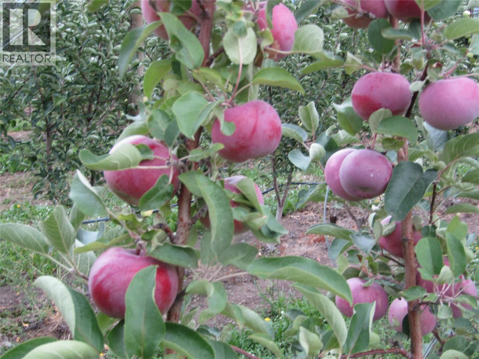 2705 75th Avenue - main photo