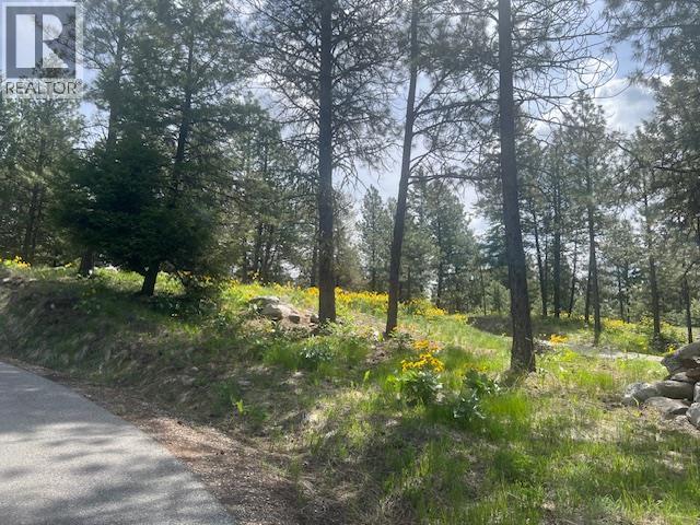 280 SASQUATCH Trail Lot# LOT 13, Osoyoos