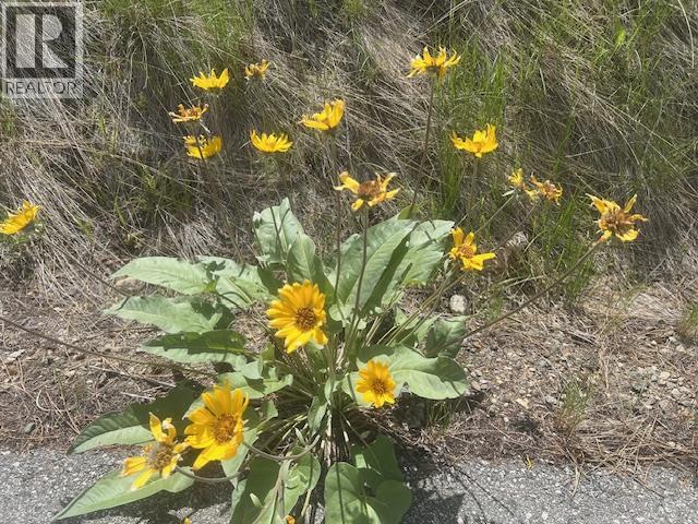 280 SASQUATCH Trail Lot# LOT 13, Osoyoos