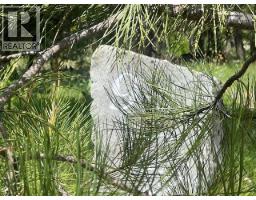 240 Sasquatch Trail Lot# 9, Osoyoos, BC V0H1V6 Photo 8