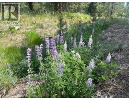 240 Sasquatch Trail Lot# 9, Osoyoos, BC V0H1V6 Photo 6