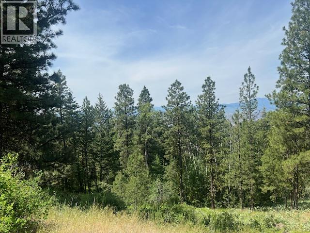240 Sasquatch Trail Lot# 9, Osoyoos