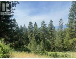 240 Sasquatch Trail Lot# 9, Osoyoos, BC V0H1V6 Photo 12