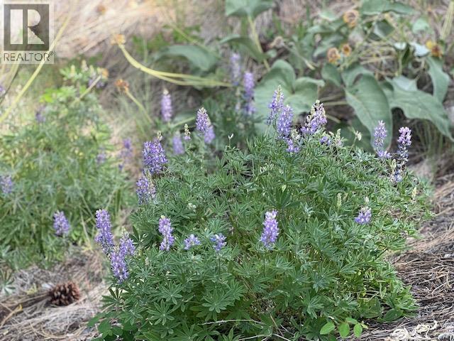 240 Sasquatch Trail Lot# 9, Osoyoos