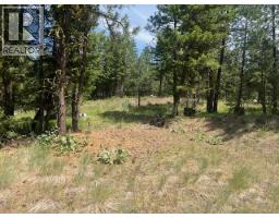240 Sasquatch Trail Lot# 9, Osoyoos, BC V0H1V6 Photo 7