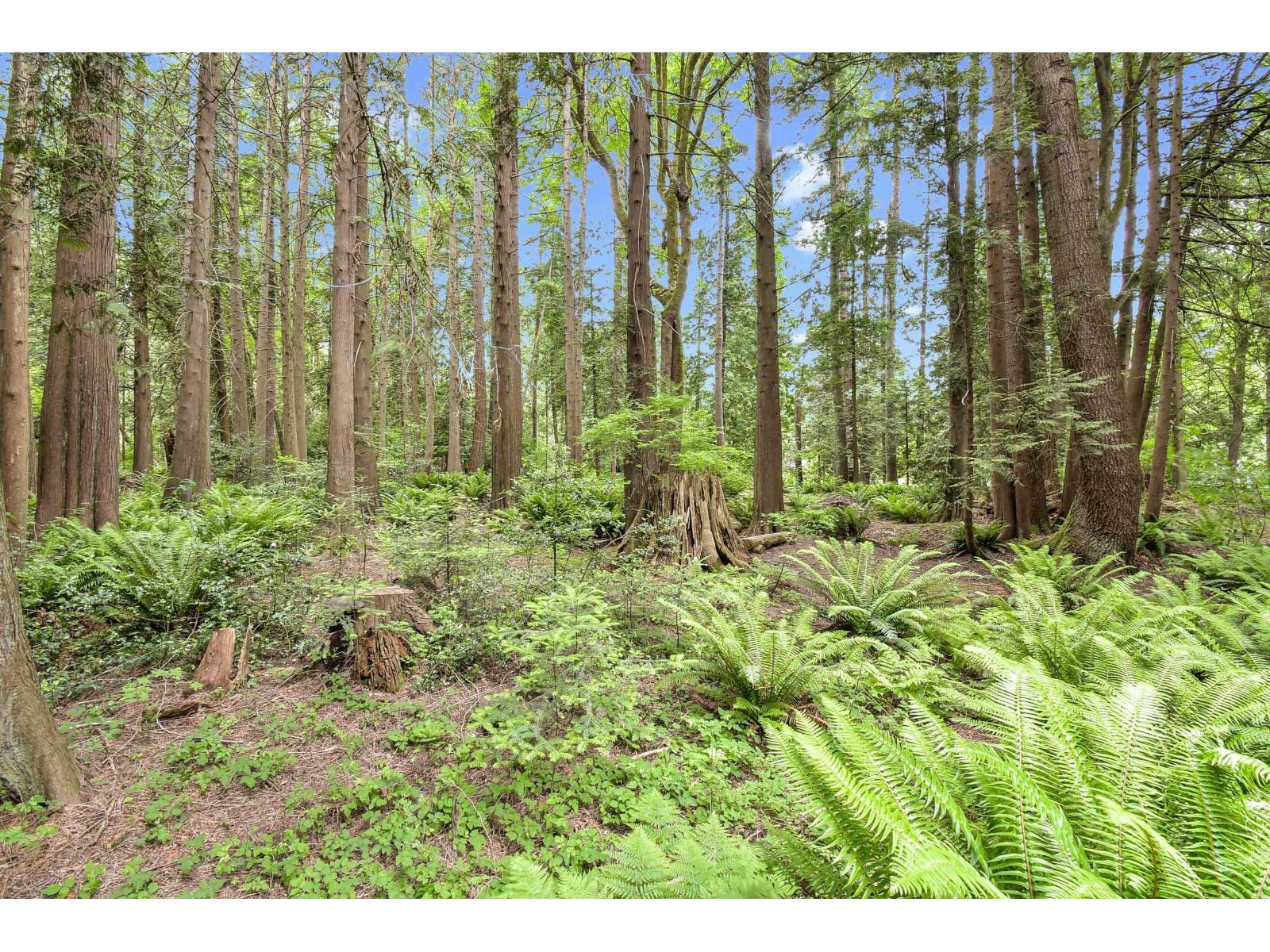 2845 132 STREET, Surrey