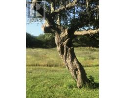 903 Feltzen South Road, Feltzen South, NS B0J2X0 Photo 44