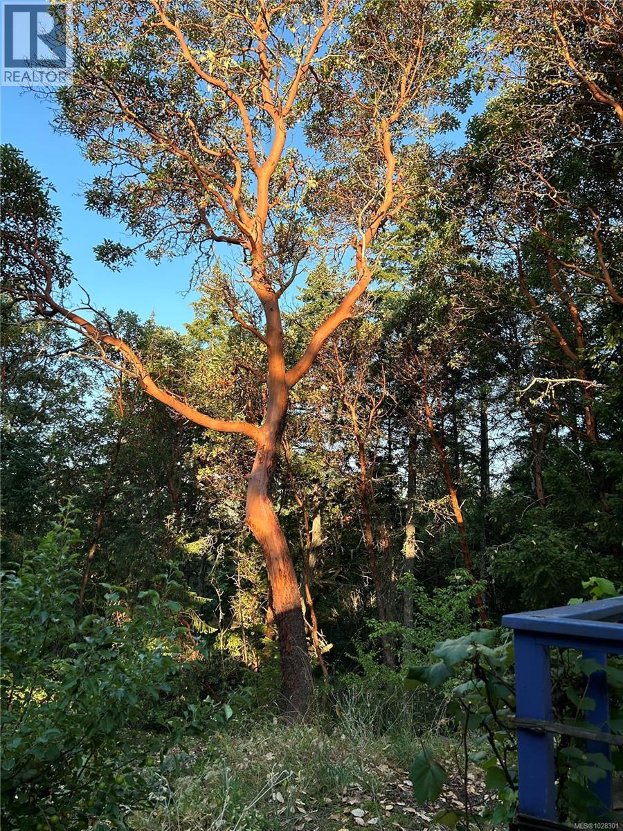 160 SKY VALLEY RD - 35