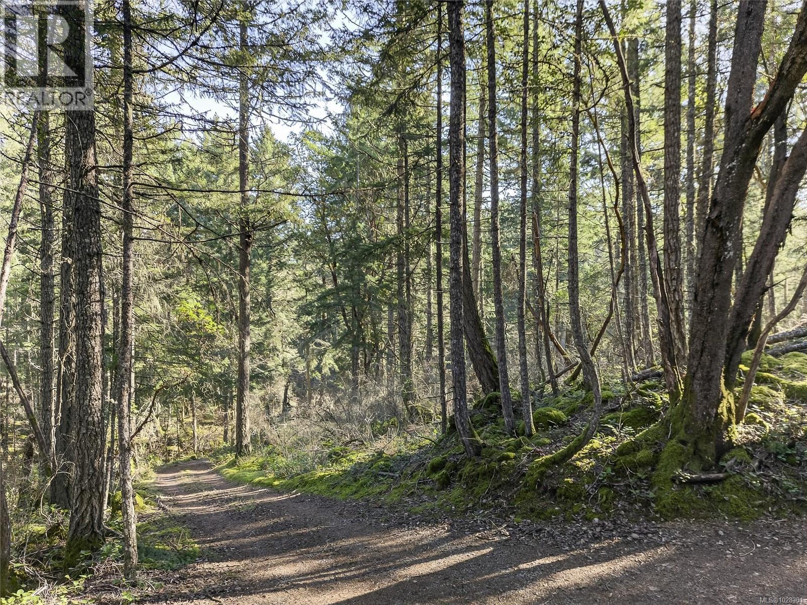 160 SKY VALLEY RD - Image 3