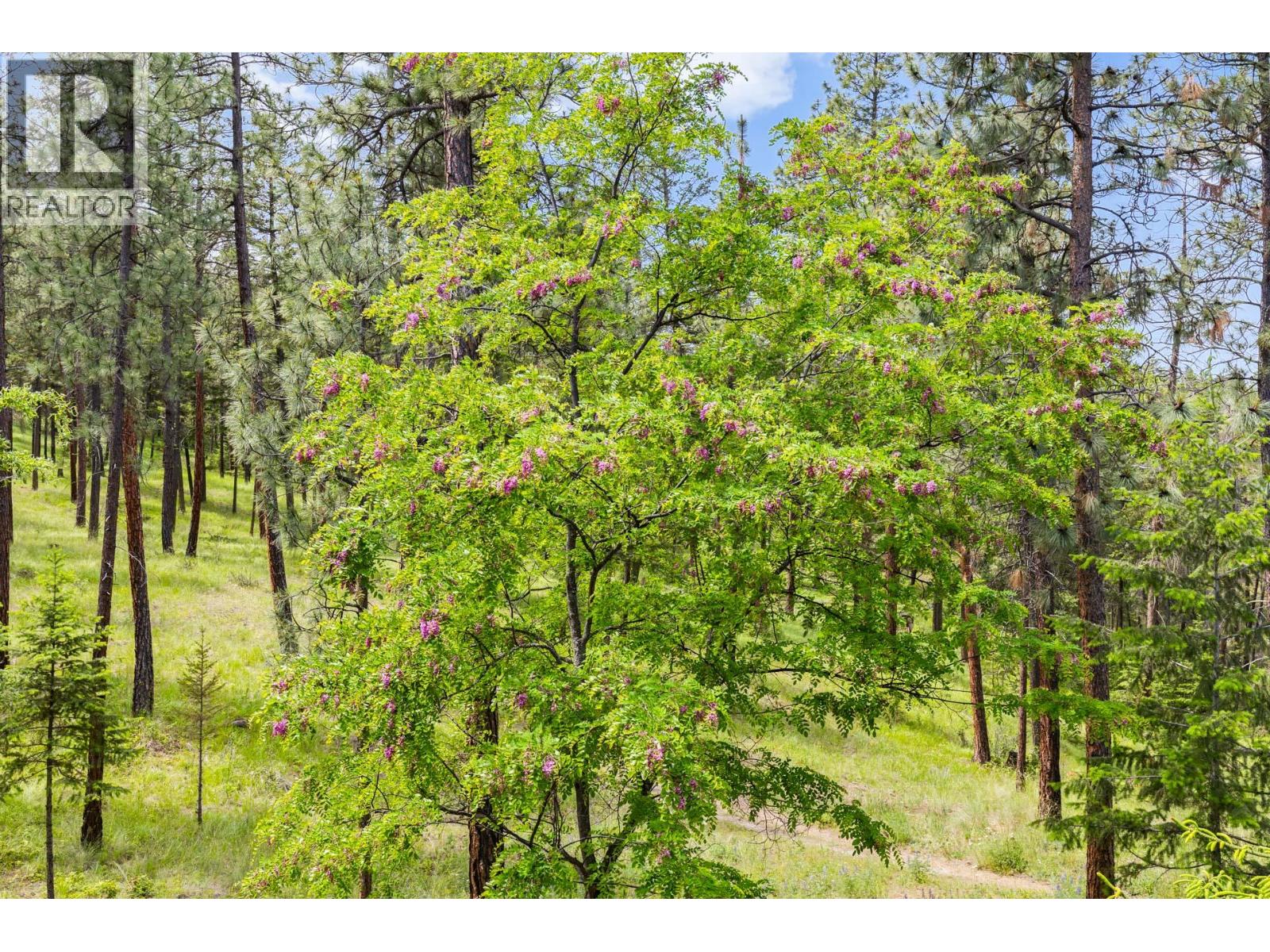 4158 Gallaghers Forest S, Kelowna