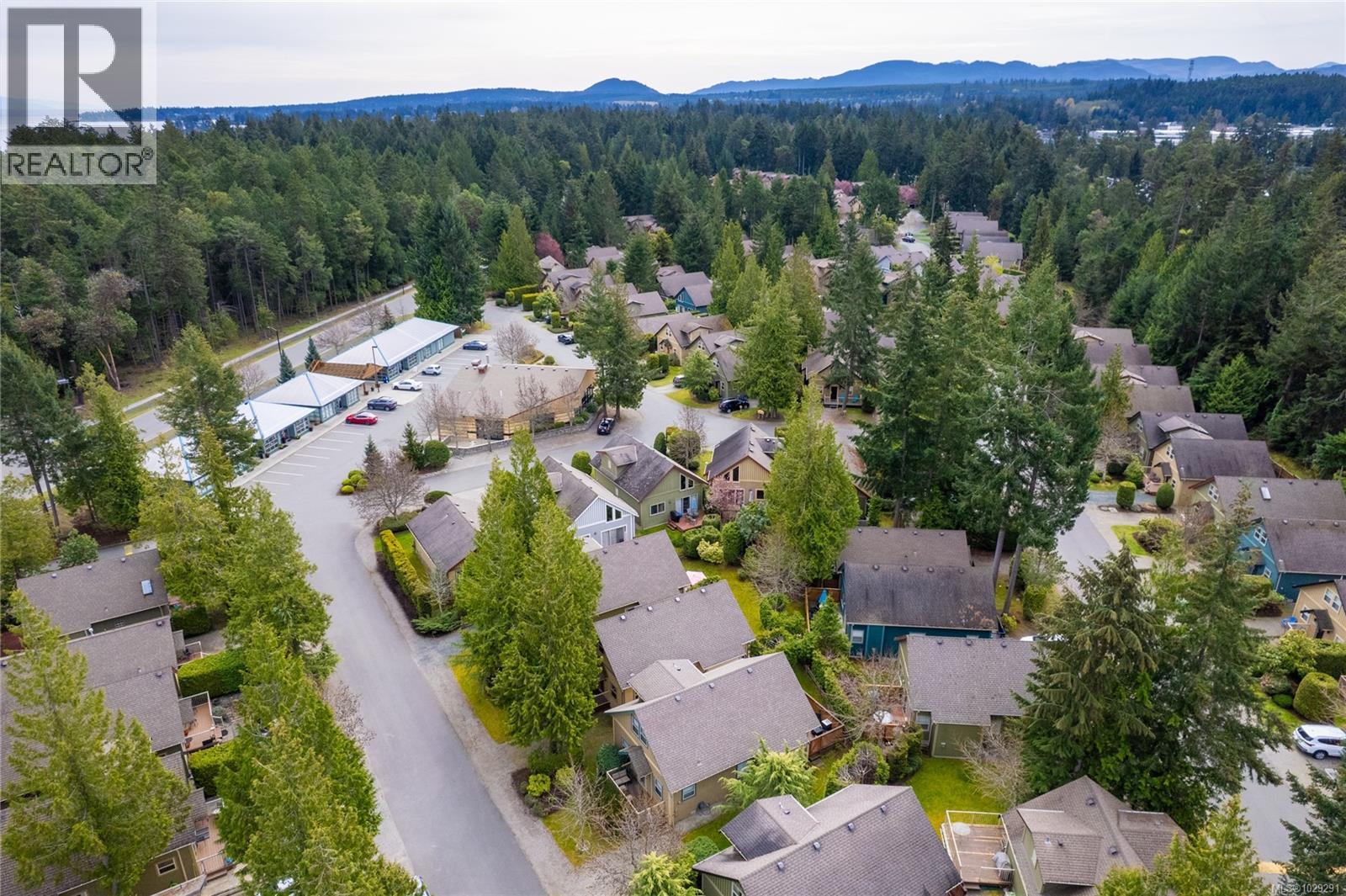 #169 1080 RESORT DR - 42