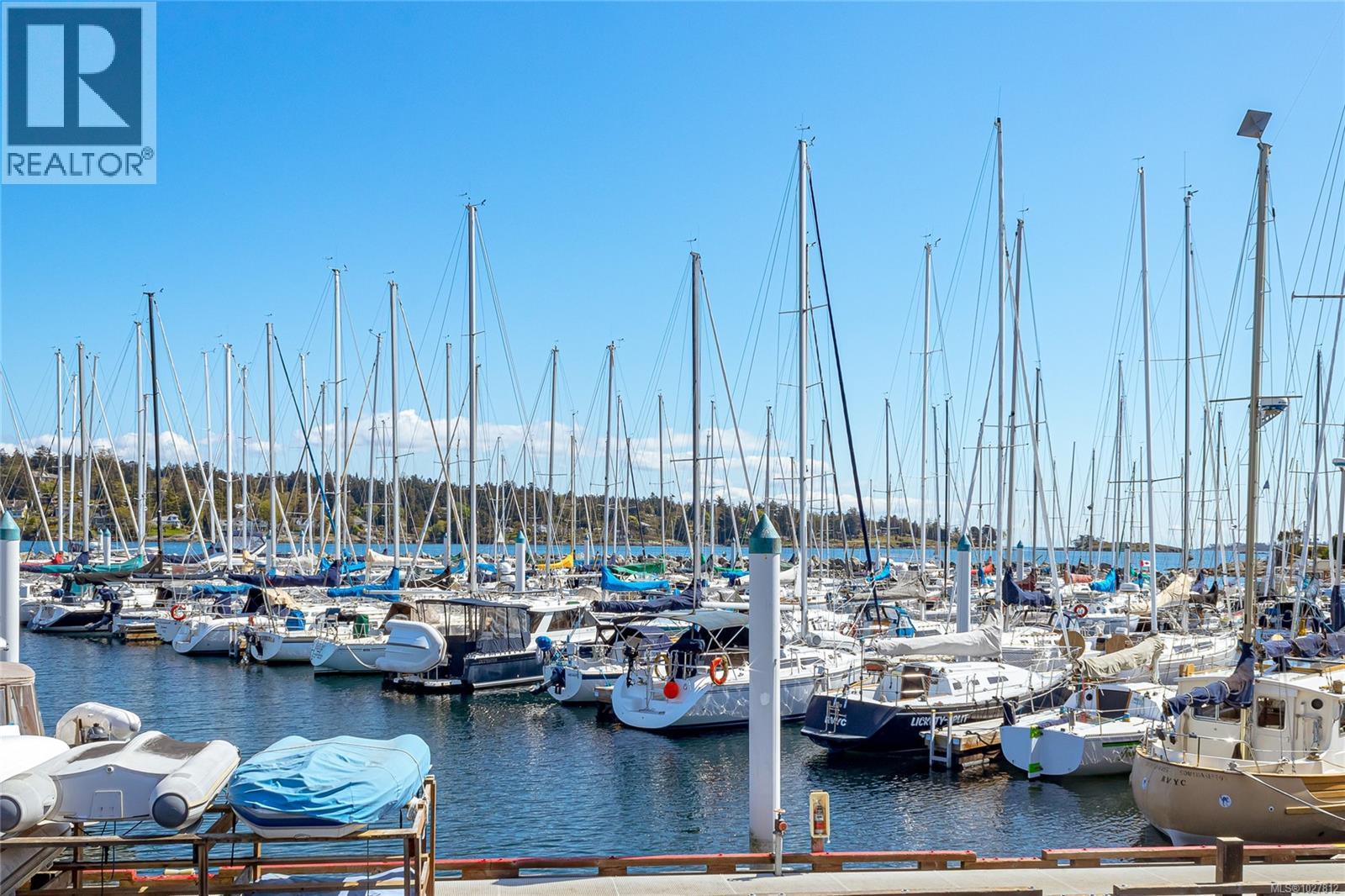  2807 Tudor Avenue, Saanich