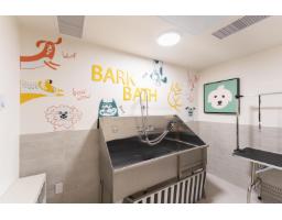 608 10488 138a Street, Surrey, BC V3T0W4 Photo 12