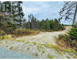 Lot 09-5 West Liscomb Point Road, West Liscomb, NS B0J2A0 Photo 7