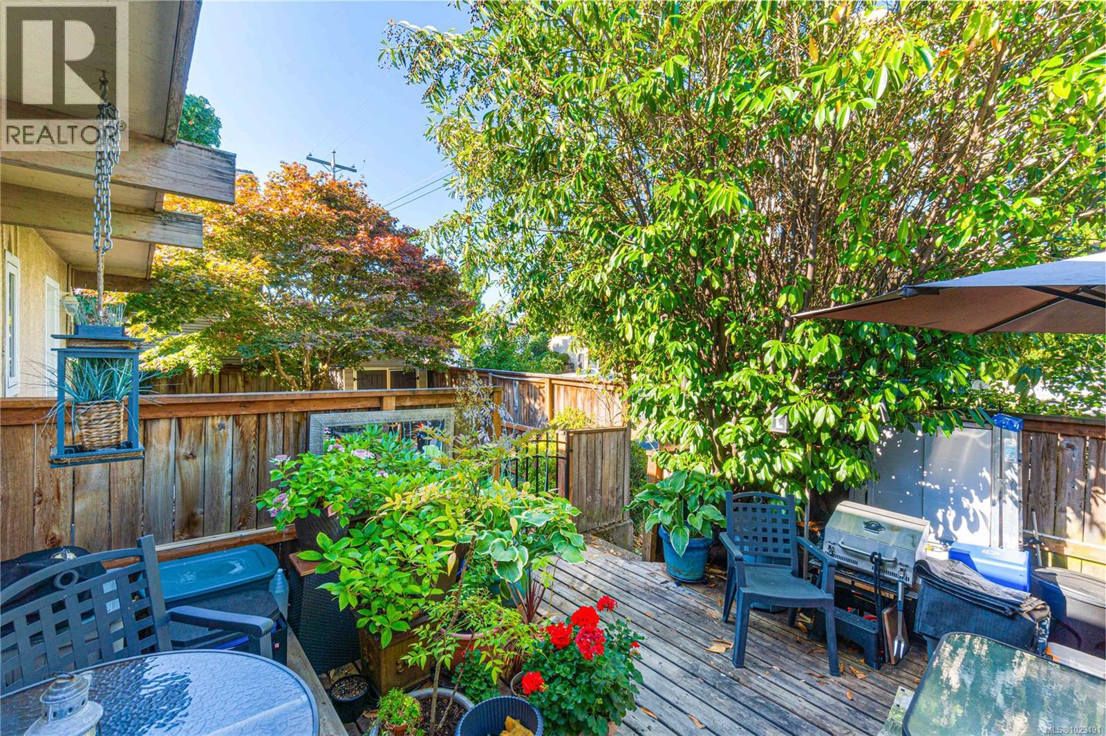 181 Rosehill St - 13