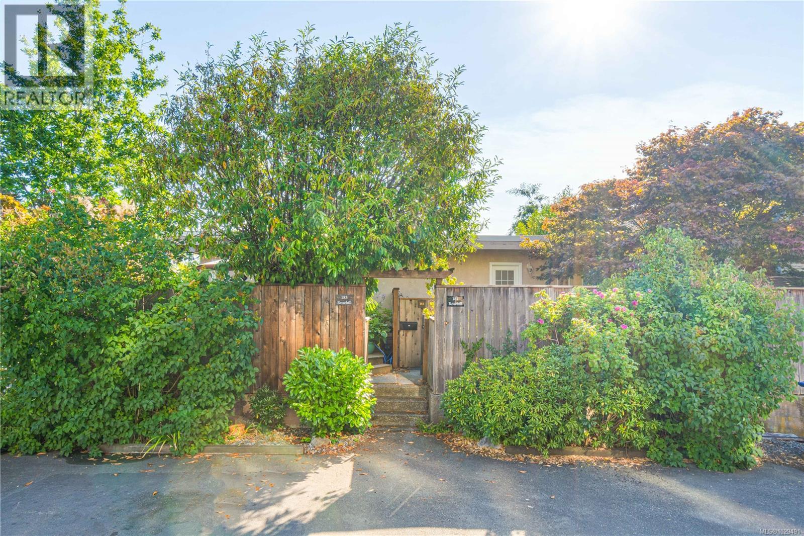 181 Rosehill St - 3