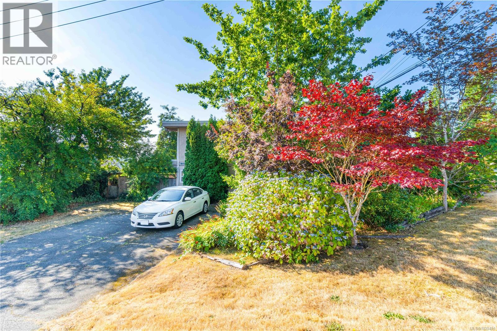 181 Rosehill St - 32