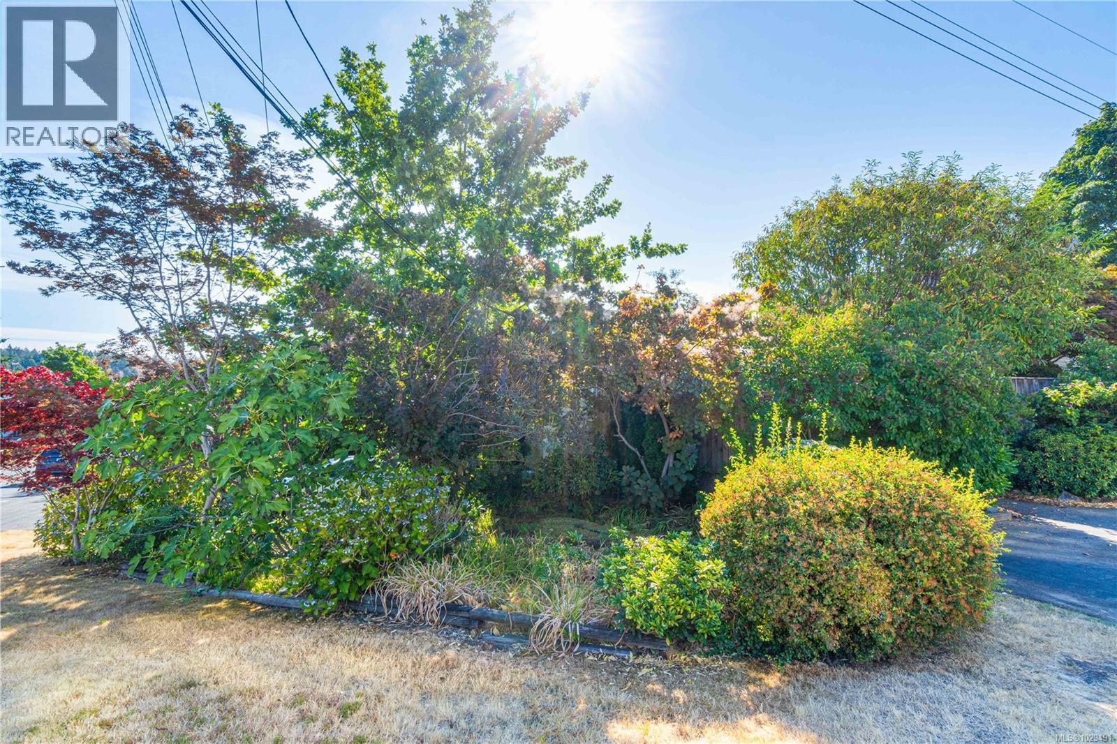 181 Rosehill St - 33