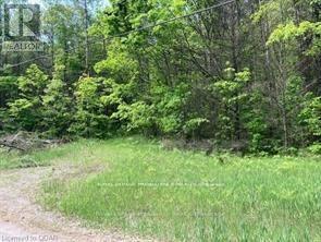 338 GLEN ALLEN ROAD S
