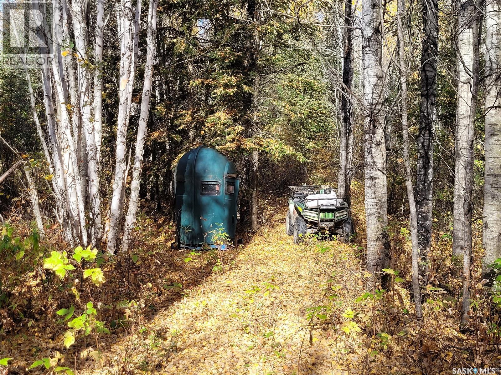 Clarke Lake Lodge — photo 15
