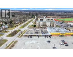 669 Colborne Street E, Brantford, ON N3S3M8 Photo 39