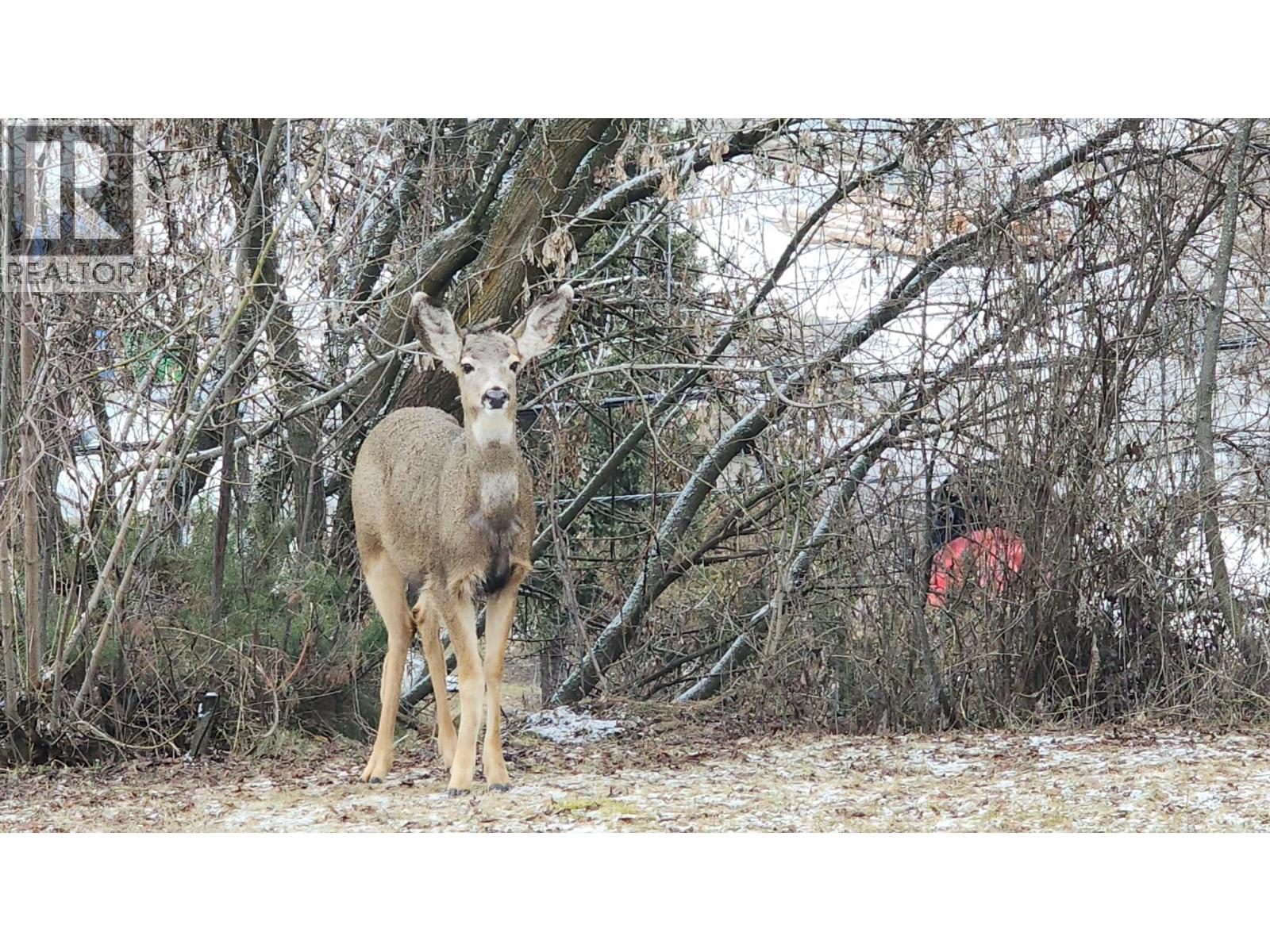 2017 CATT AVENUE - 31