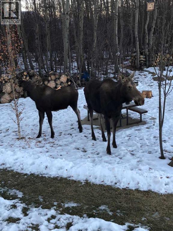 38444 Range Road 270, Rural Red Deer County