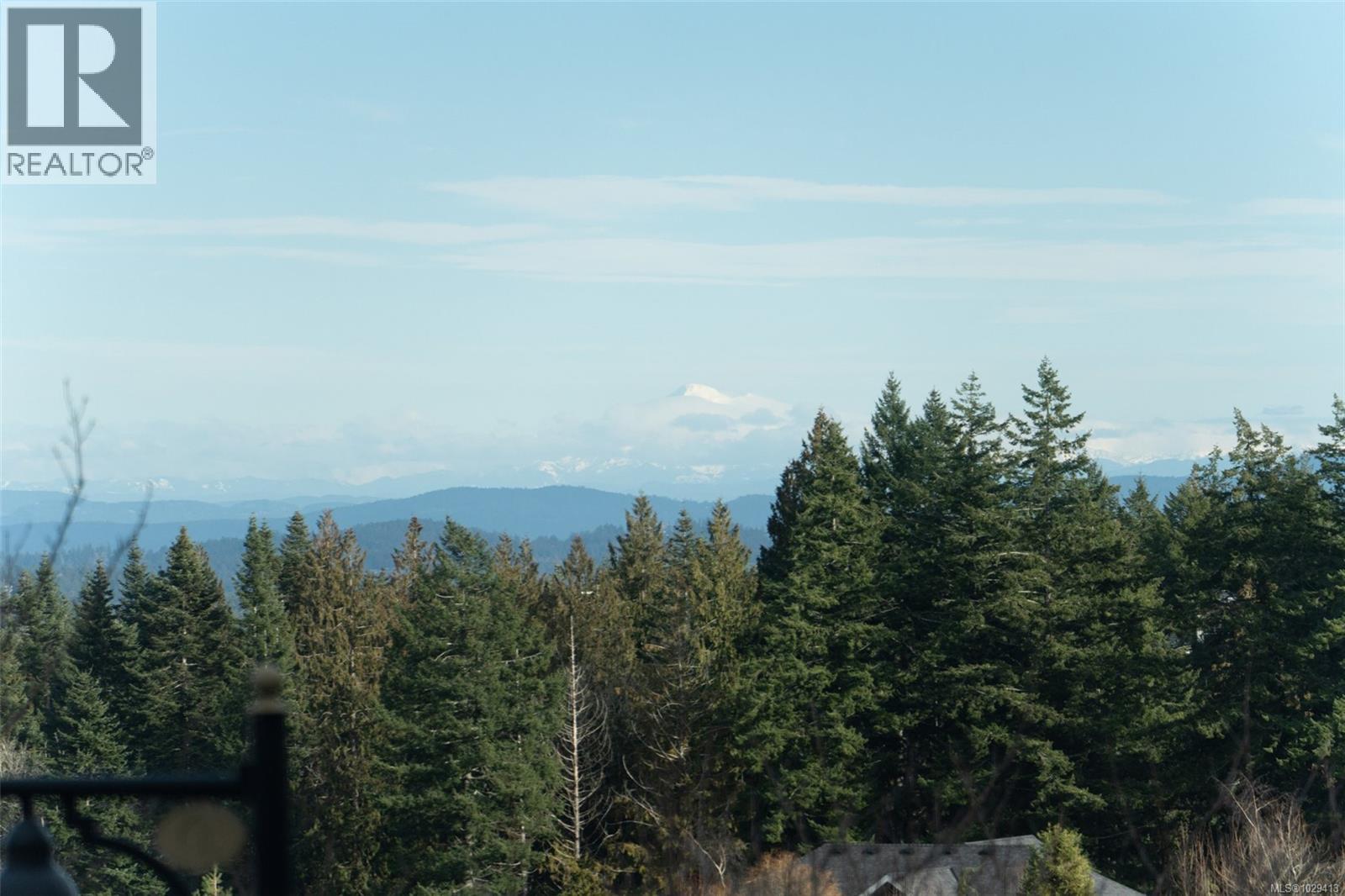 #211 1325 BEAR MOUNTAIN PKWY - Image 2