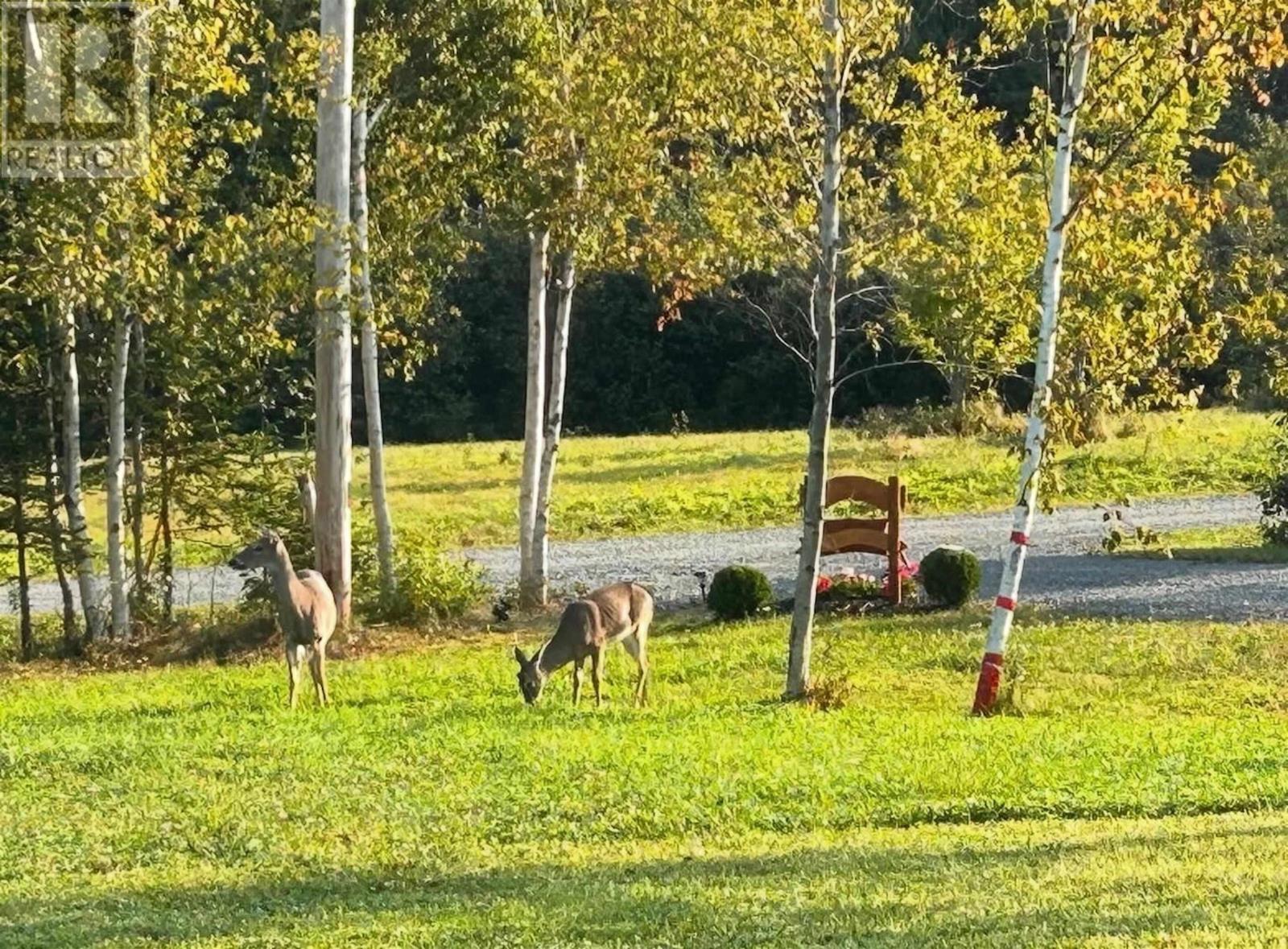 Property 35 of 38 of 79 Saubren Lane