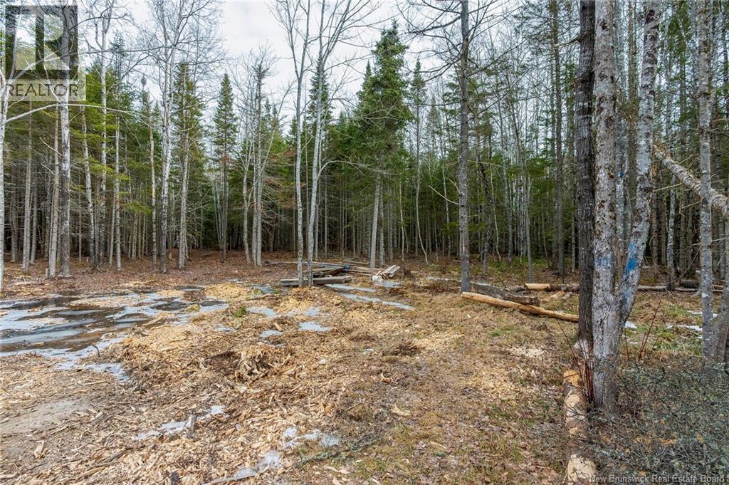 836 Des Dallaire - 9