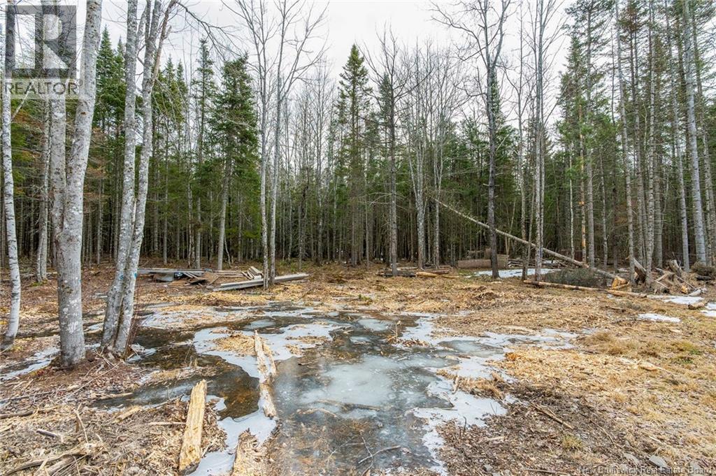836 Des Dallaire - 10