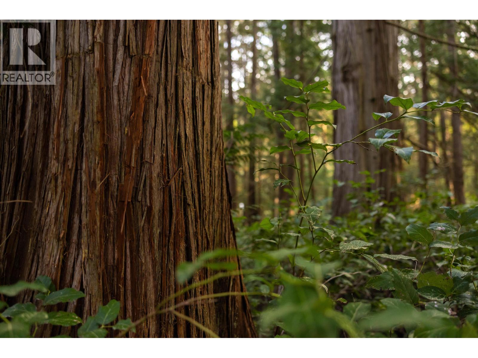 LOT C SUNSHINE COAST HIGHWAY, Sechelt