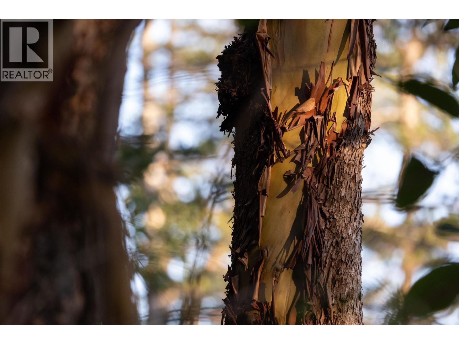 LOT C SUNSHINE COAST HIGHWAY, Sechelt