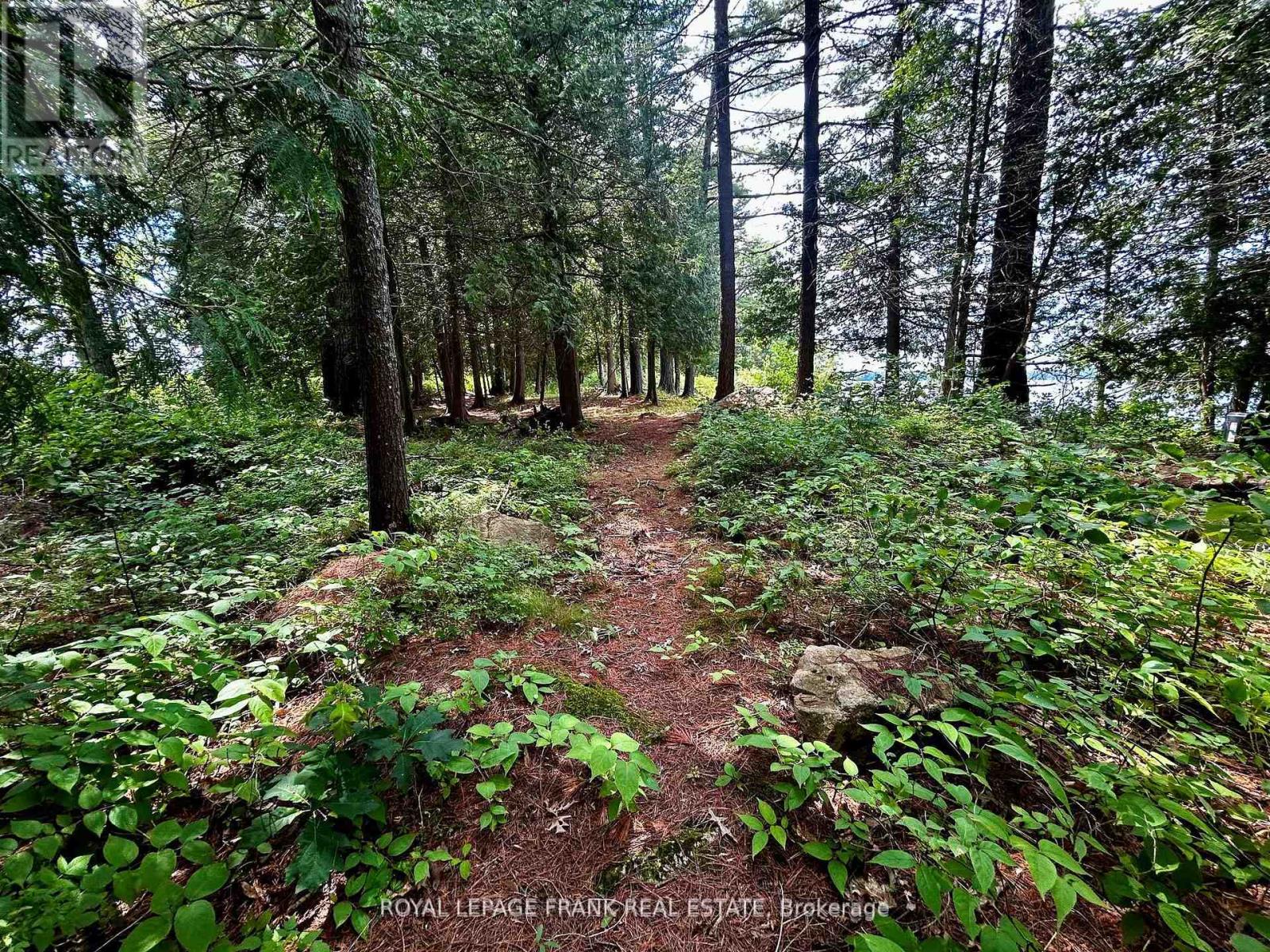 Trail to the untouched 7 acres with deep water