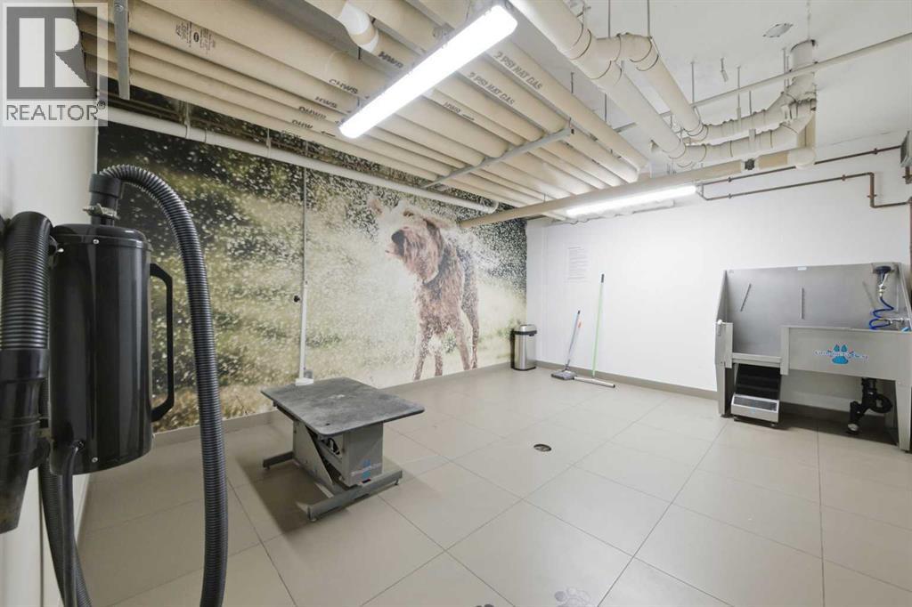 Single Family House for Sale in    Street NE Bridgeland/Riverside Calgary 