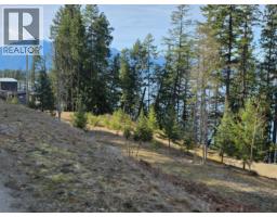 Lot 4 Walkers Lane, Kootenay Bay, BC V0B1E0 Photo 13