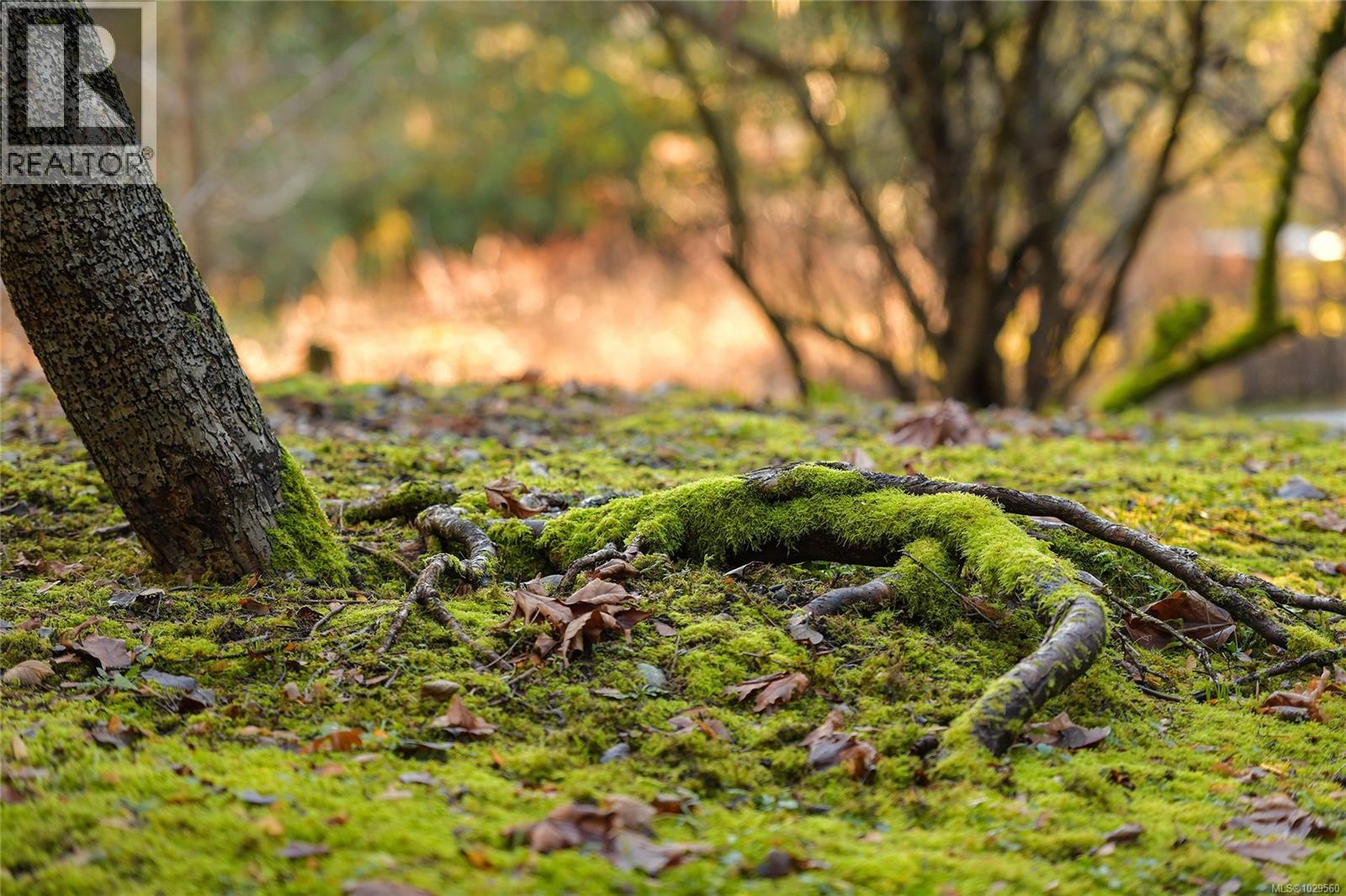  3795 GLENORA Road, Duncan