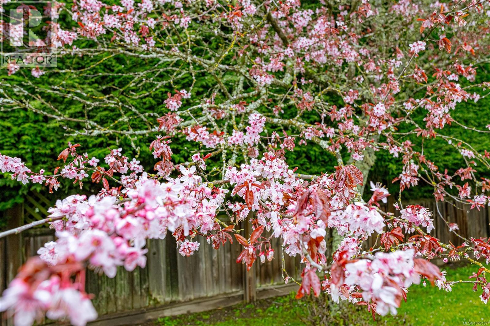 4108 TORQUAY DR - 36