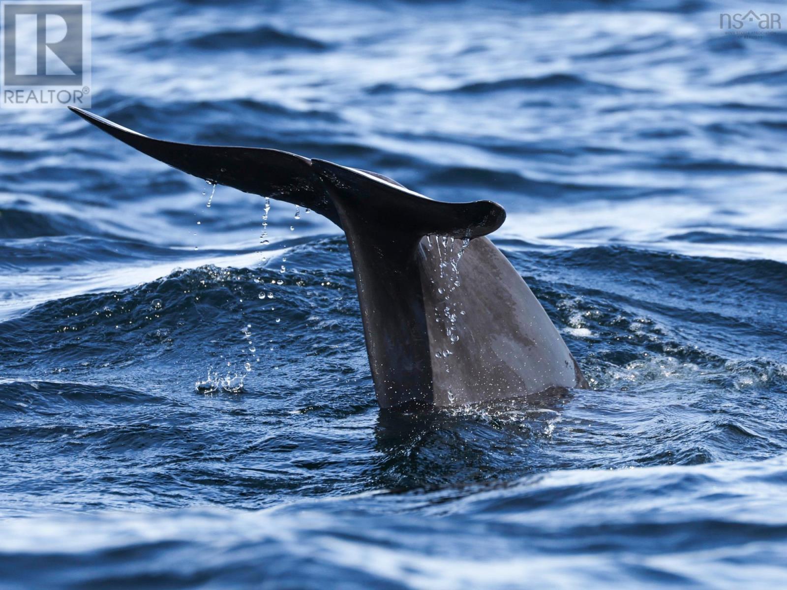Property 6 of 51 of 31 Osprey Lane