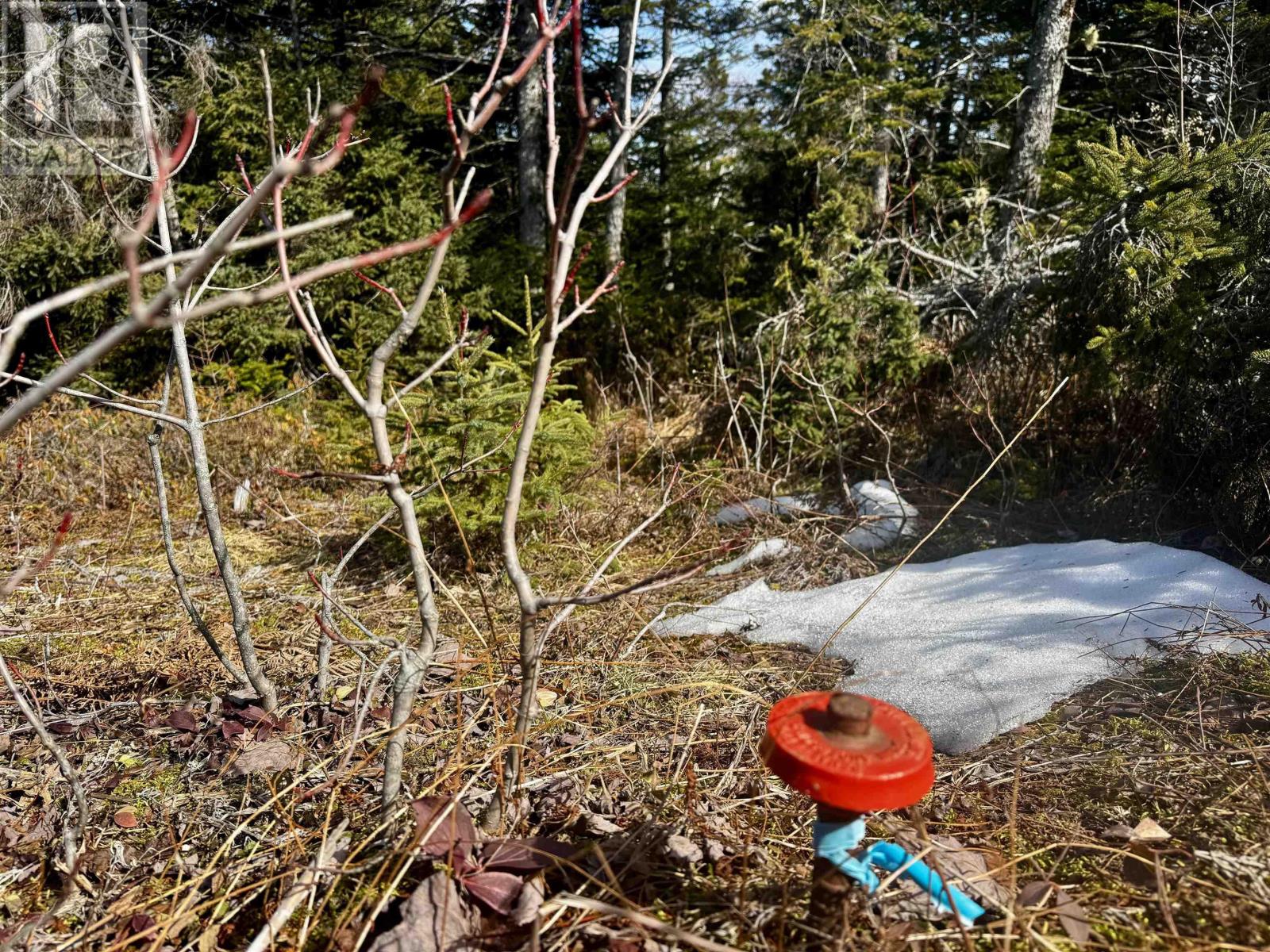 Property 11 of 17 of Maple Drive