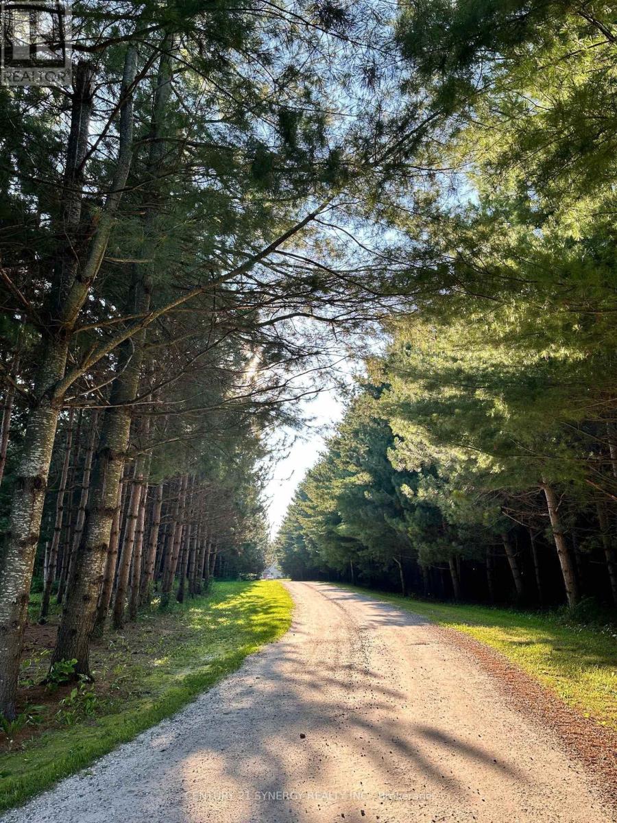 393 & 399 GOLD CREEK ROAD — photo 49