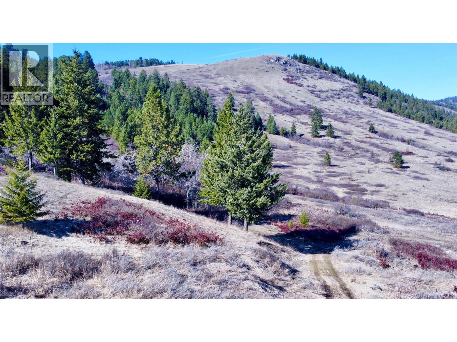 3775 HARDY MOUNTAIN Road - 4