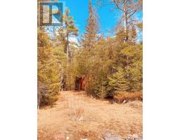494 Walkhouse Road, Silver Water, Manitoulin Island, ON P0P1Y0 Photo 26